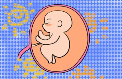 武汉上海试管婴儿移植几个胚胎好？