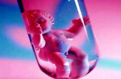 武汉广东广州做试管婴儿，哪些因素影响胚胎质量？