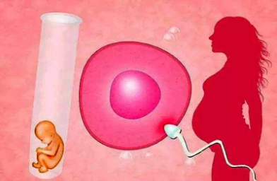武汉成都卵巢早衰女性如何做试管？