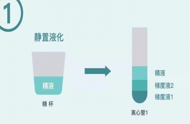 HIV/梅毒/乙肝_泰国洗精试管婴儿标准和流程--备孕试管婴儿