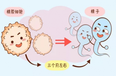 如何轻松搞定试管婴儿手术，提高成功率？-E试管-备孕试管不孕不育知识